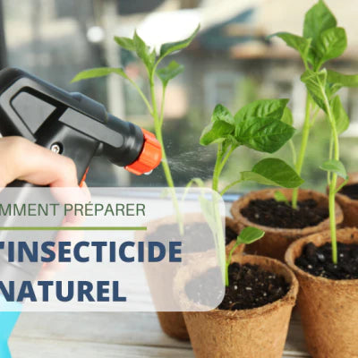 Comment préparer de l’insecticide naturel ?