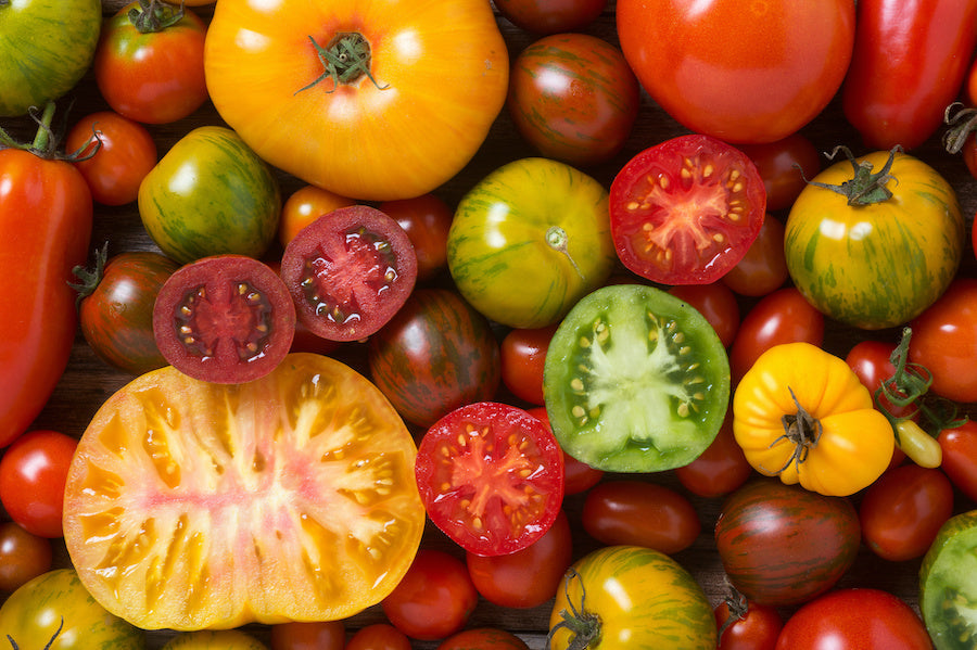 Les erreurs à éviter quand on cultive des tomates en pot
