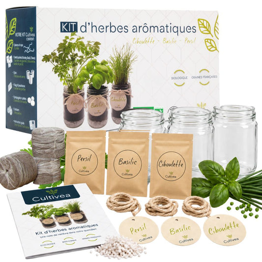 Kit d'herbes aromatiques BIO* - Bleu (Ciboulette, Basilic, Persil)