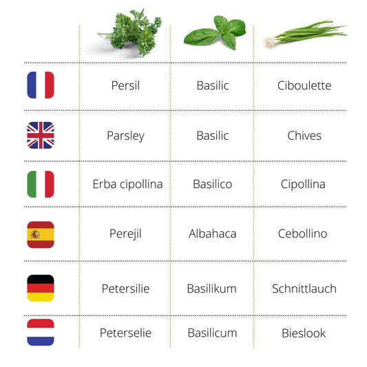 Kit d'herbes aromatiques BIO* - Bleu (Ciboulette, Basilic, Persil)