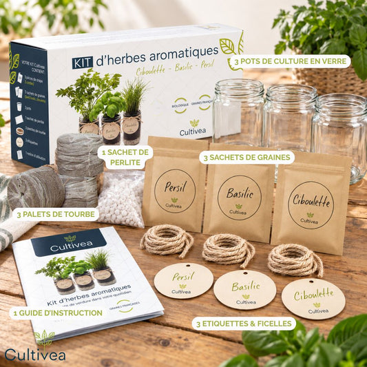 Kit d'herbes aromatiques BIO* - Bleu (Ciboulette, Basilic, Persil)