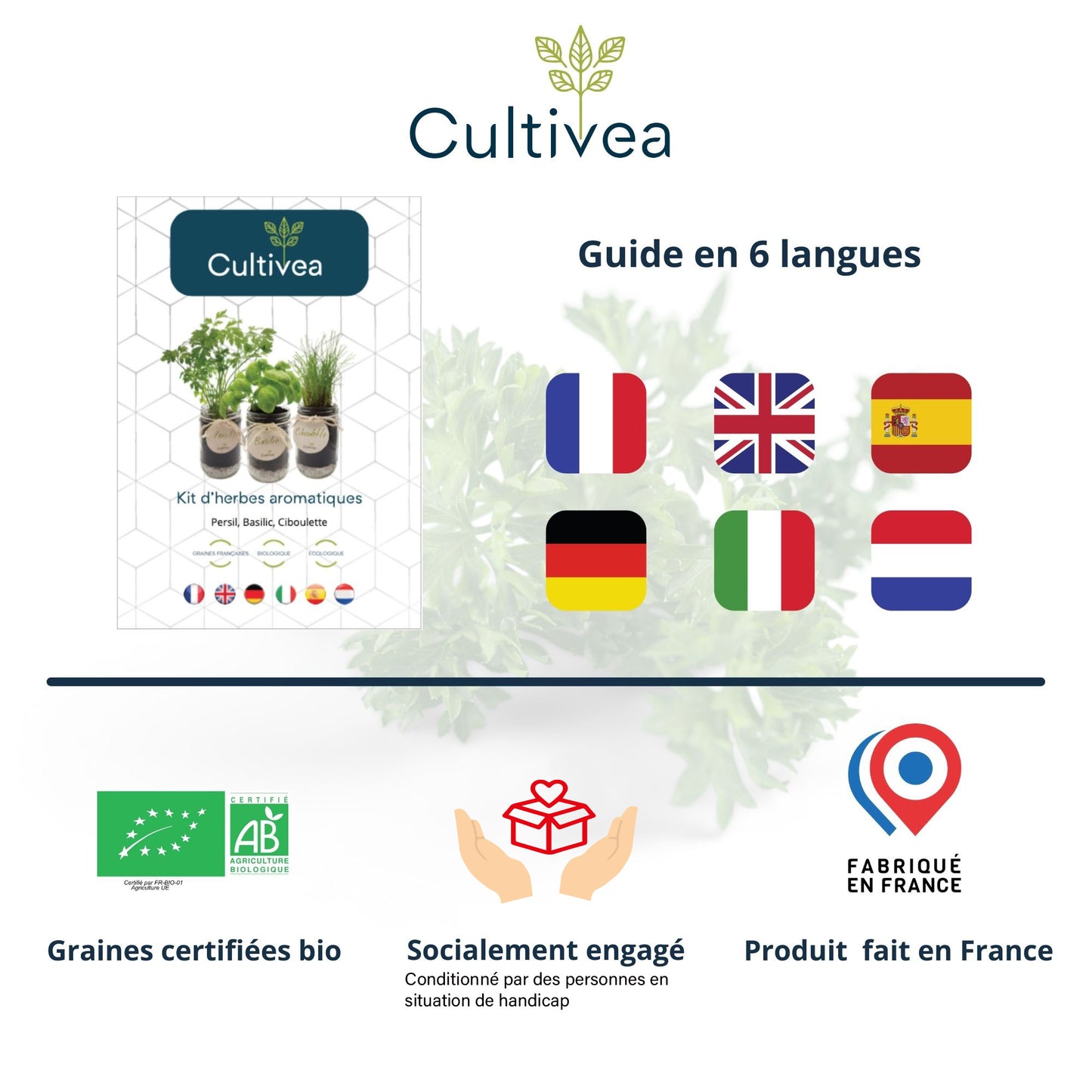 Kit d'herbes aromatiques BIO* - Bleu (Ciboulette, Basilic, Persil)