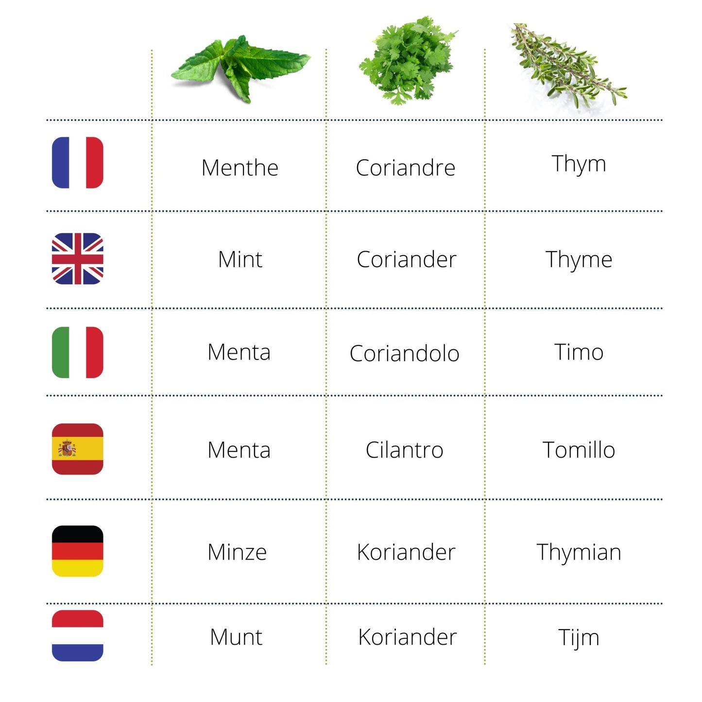 Kit d'herbes aromatiques BIO* - Rouge (Menthe, Coriandre, Thym)