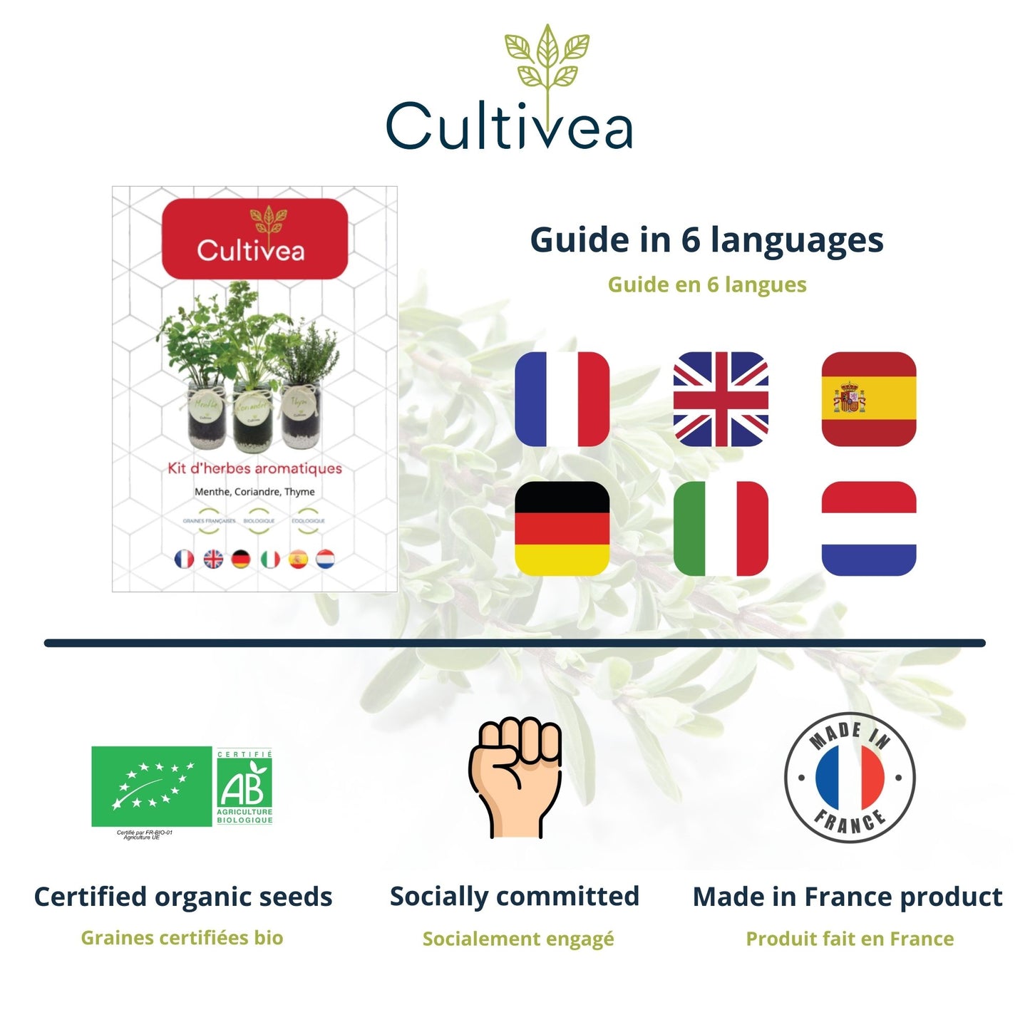 Kit d'herbes aromatiques BIO* - Rouge (Menthe, Coriandre, Thym)