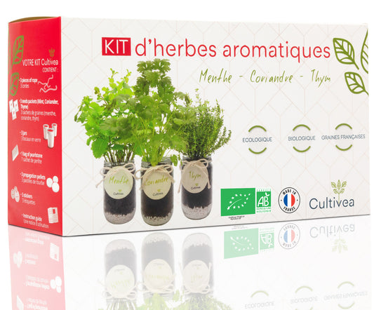 Kit d'herbes aromatiques BIO* - Rouge (Menthe, Coriandre, Thym)