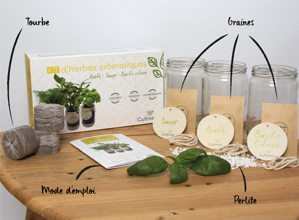 Kit d'herbes aromatiques BIO* - Jaune (Aneth, Sauge, Basilic citron)