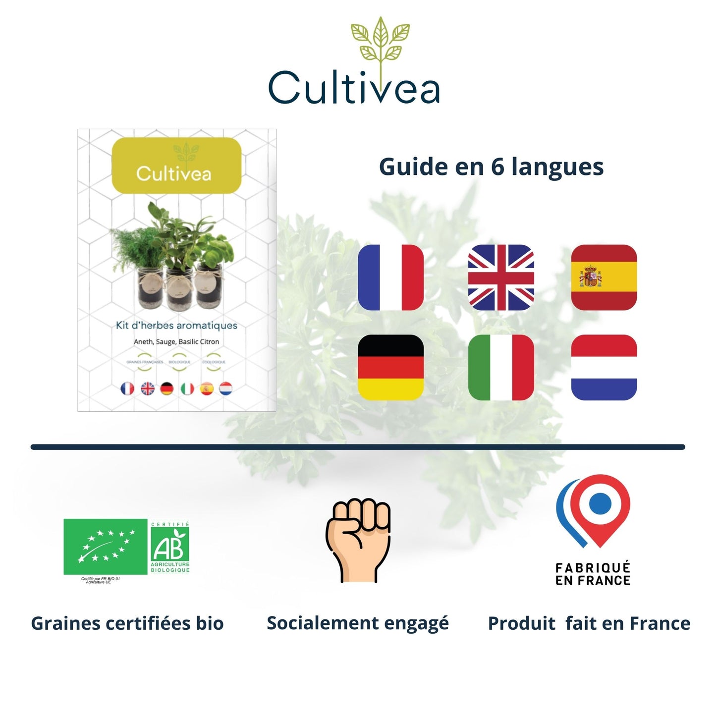 Kit d'herbes aromatiques BIO* - Jaune (Aneth, Sauge, Basilic citron)