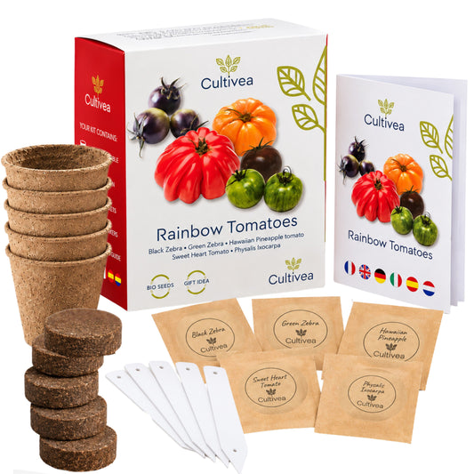 Mini Kit Tomates Arc-en-ciel BIO*