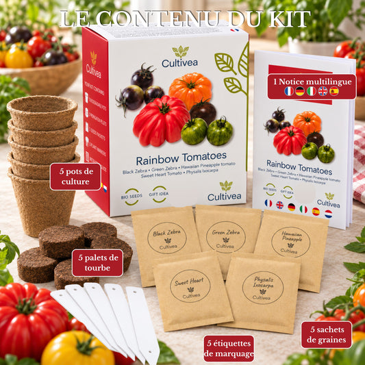 Mini Kit Tomates Arc-en-ciel BIO*