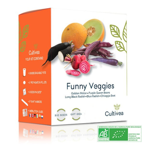 Mini Organic Funny Veggies Growing Kit