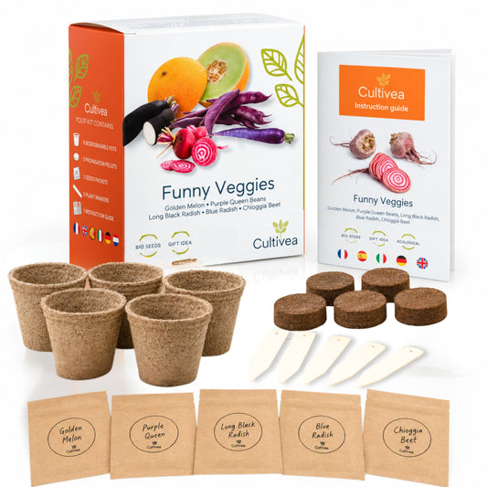 Mini Kit Légumes Insolites BIO*