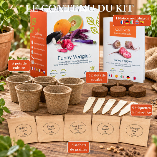 Mini Kit Légumes Insolites BIO*