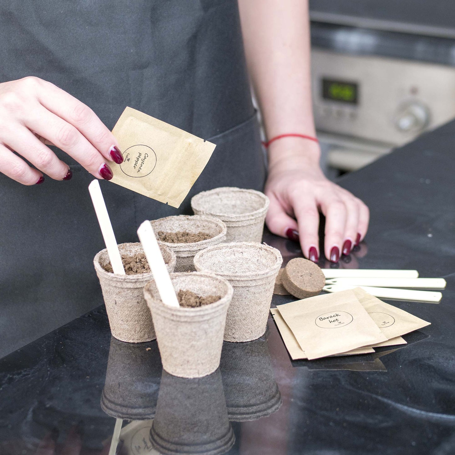 Mini Kit Piments BIO*