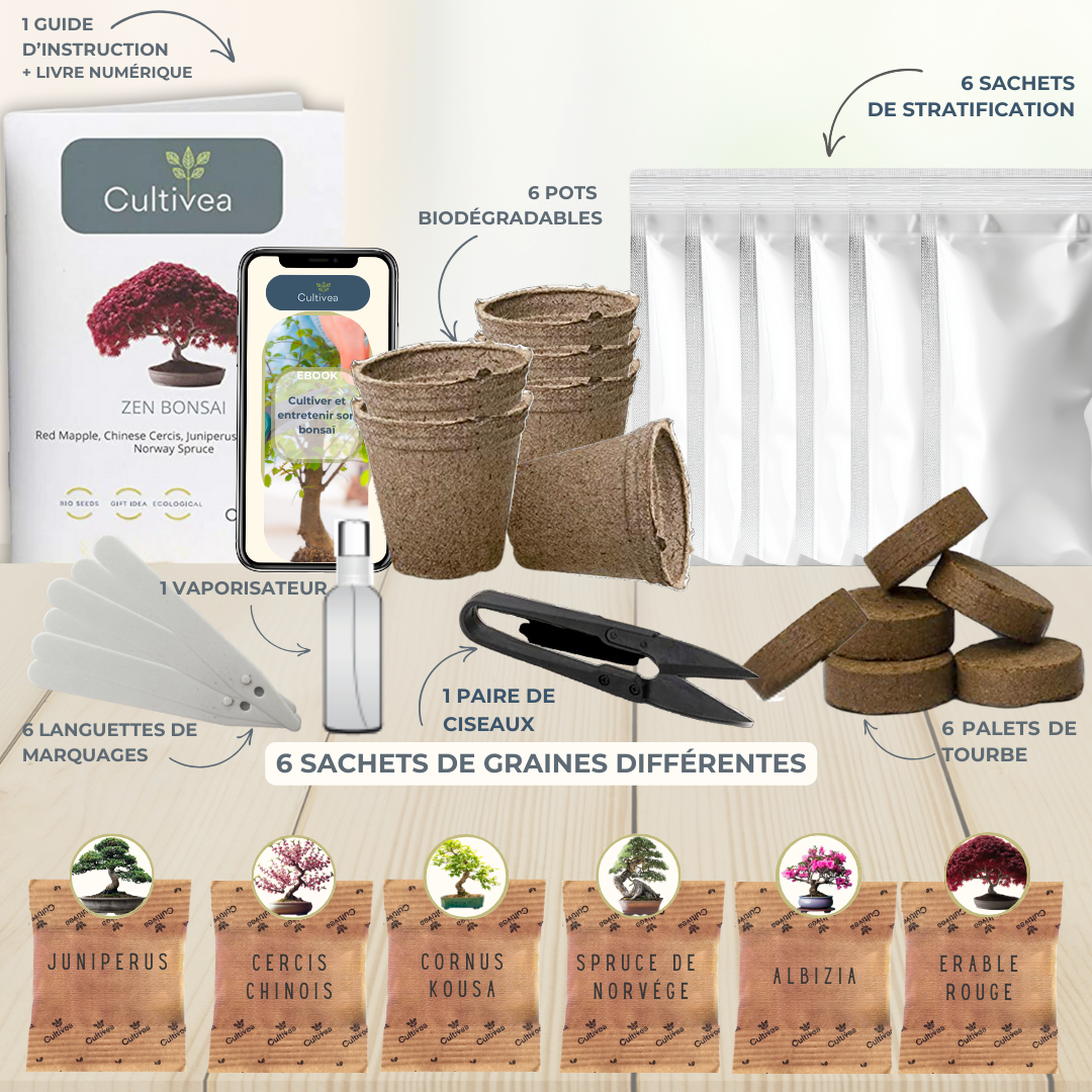 Contenu du kit bonsai cultivea 6 variétés des bonsais à faire pousser