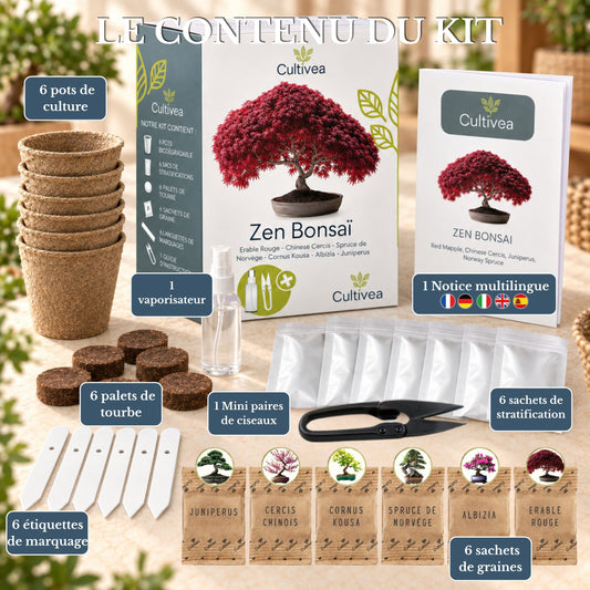 Mini Kit Zen Bonsai - 6 graines avec accessoires