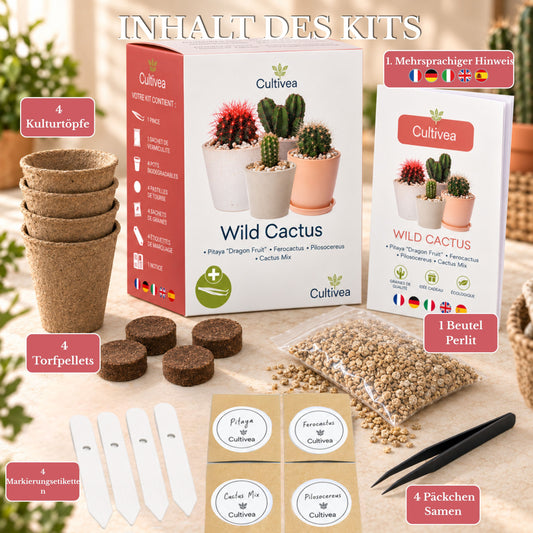 Mini Kit Wild Cactus