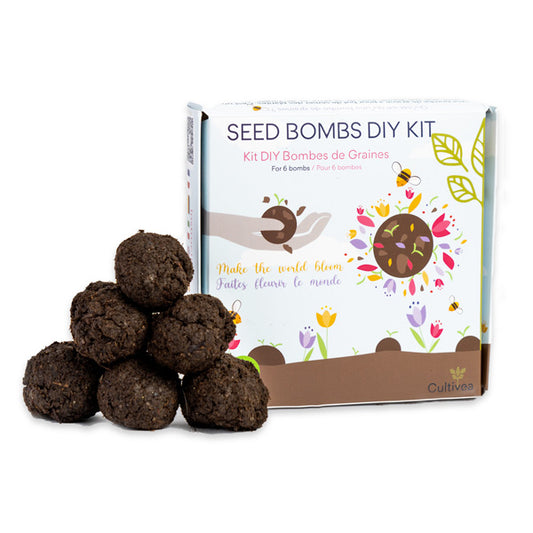 Kit DIY Bombes de Graines