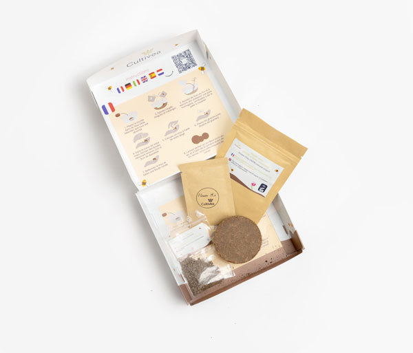 Kit DIY Bombes de Graines
