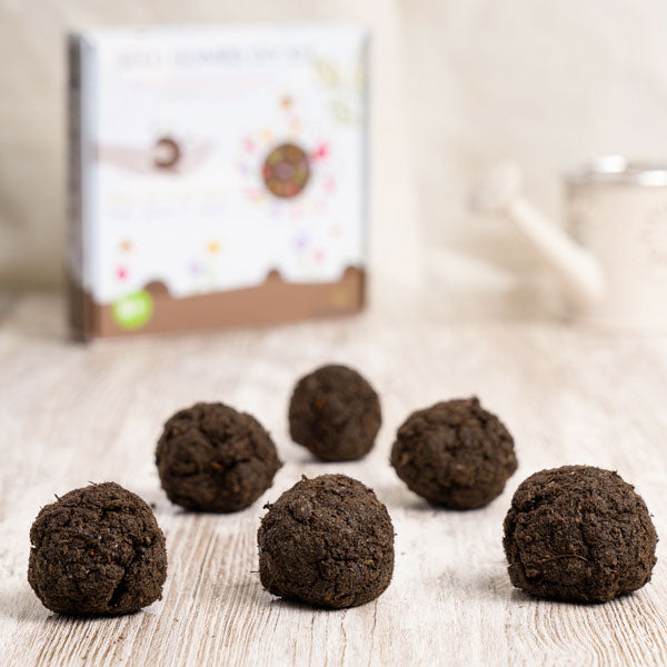 Kit DIY Bombes de Graines