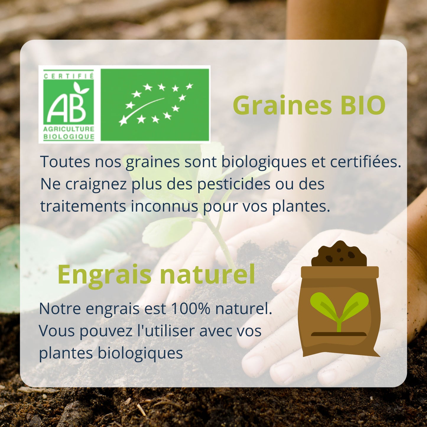 Kit DIY Bombes de Graines
