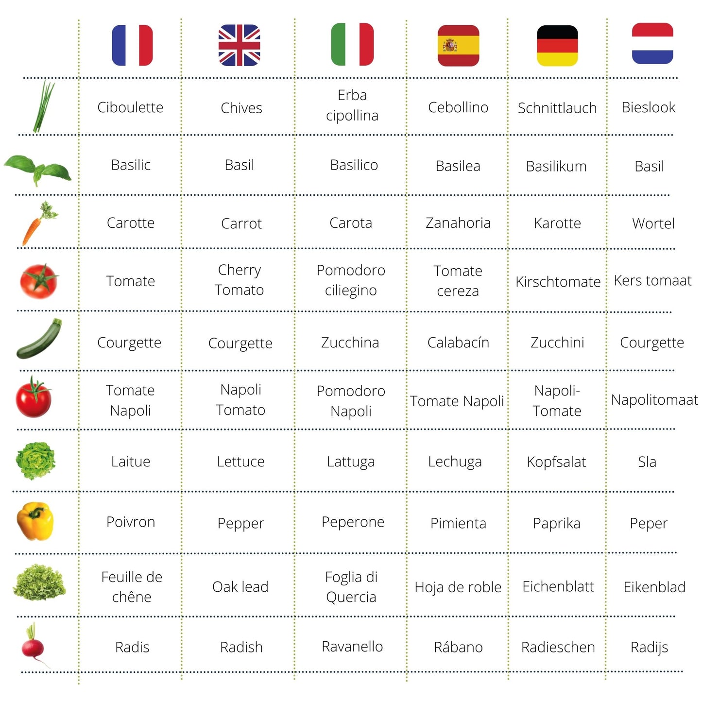 Le Petit Potager : Le Kit de Semis Essentiel BIO*