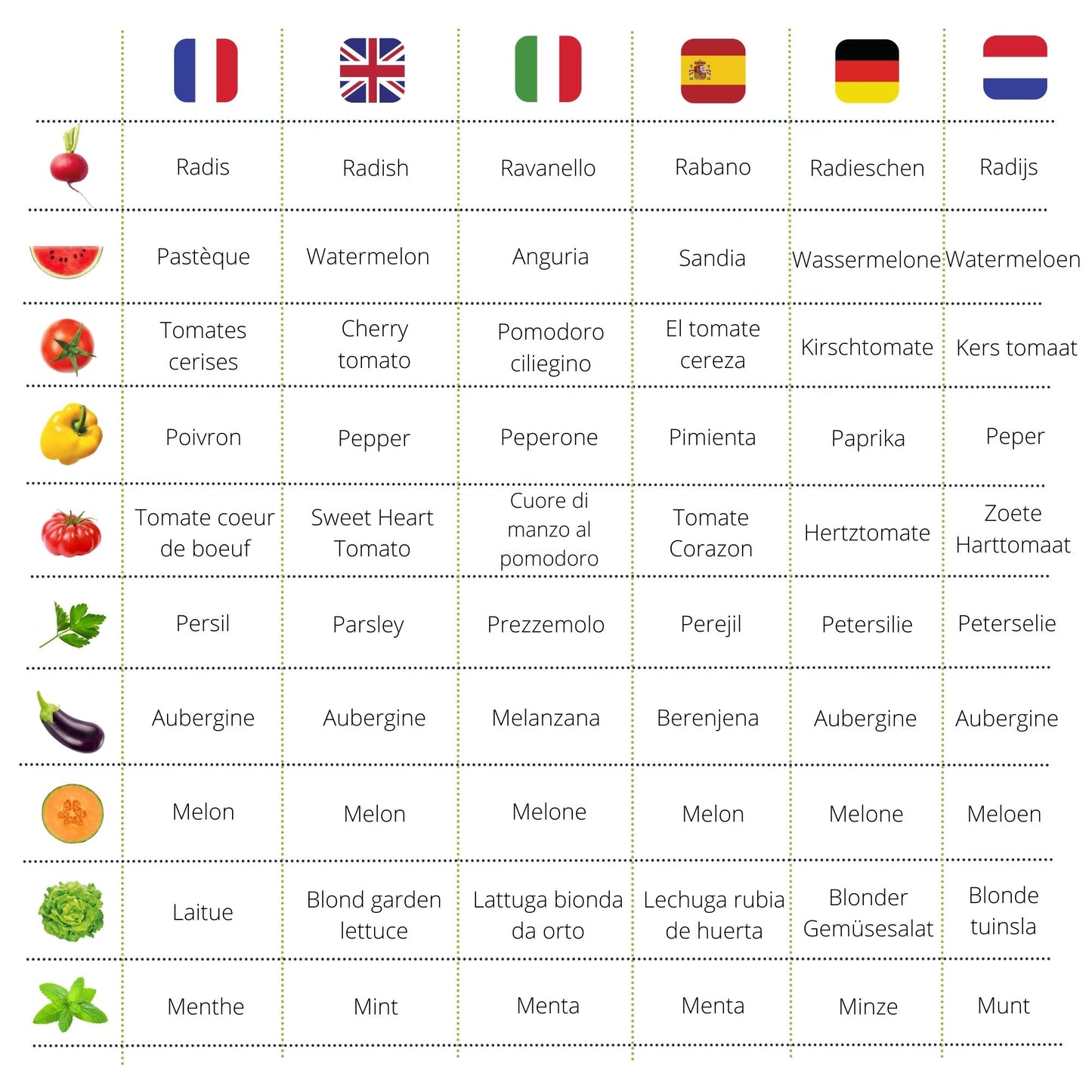 Le Petit Potager : Saveurs ensoleillées BIO*