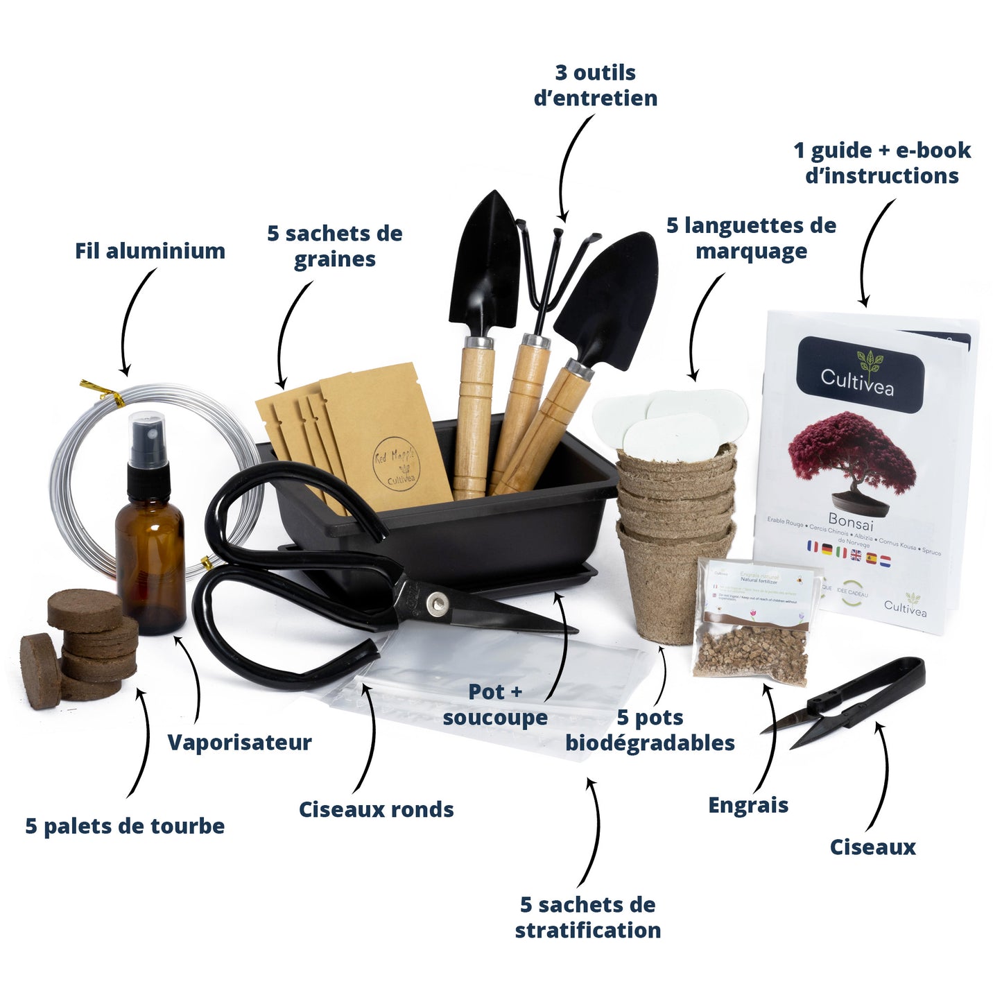 Kit Bonsaï Premium Prêt à Pousser