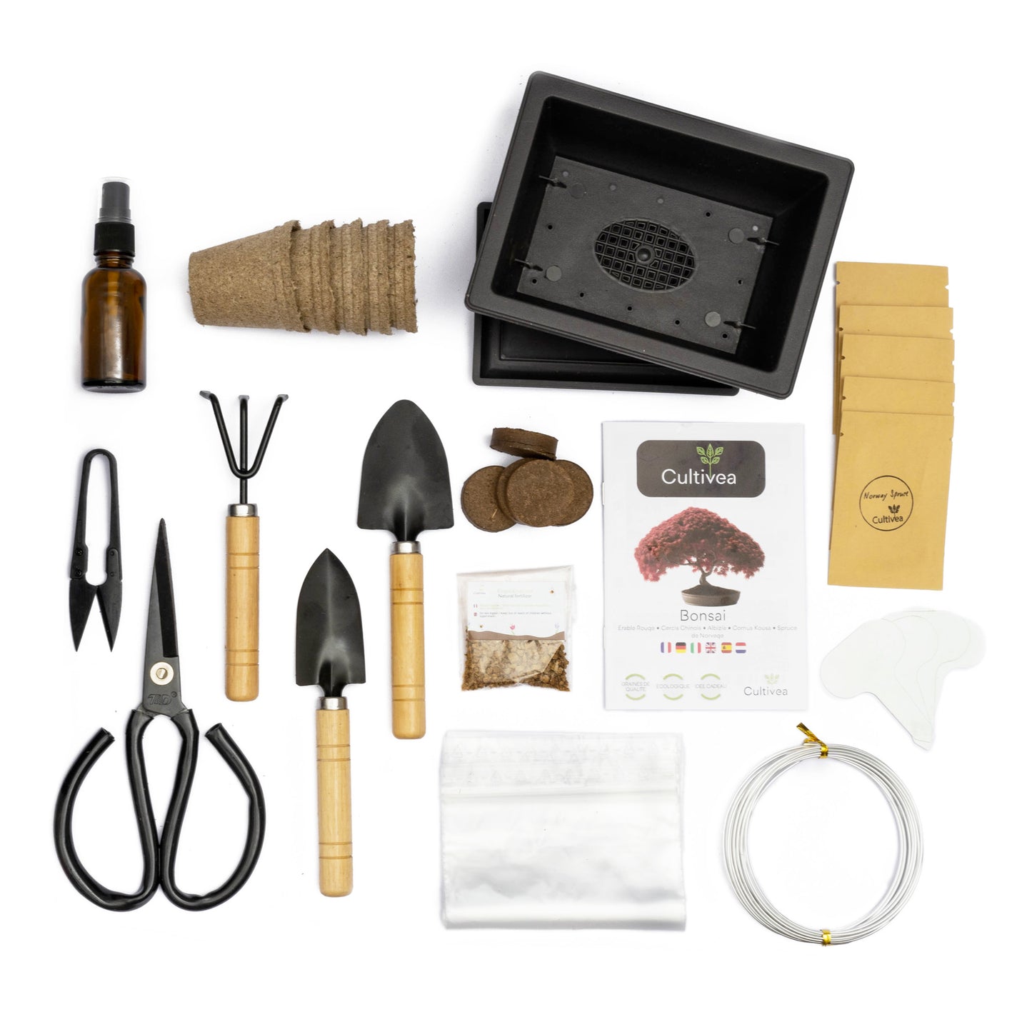 Kit Bonsaï Premium Prêt à Pousser