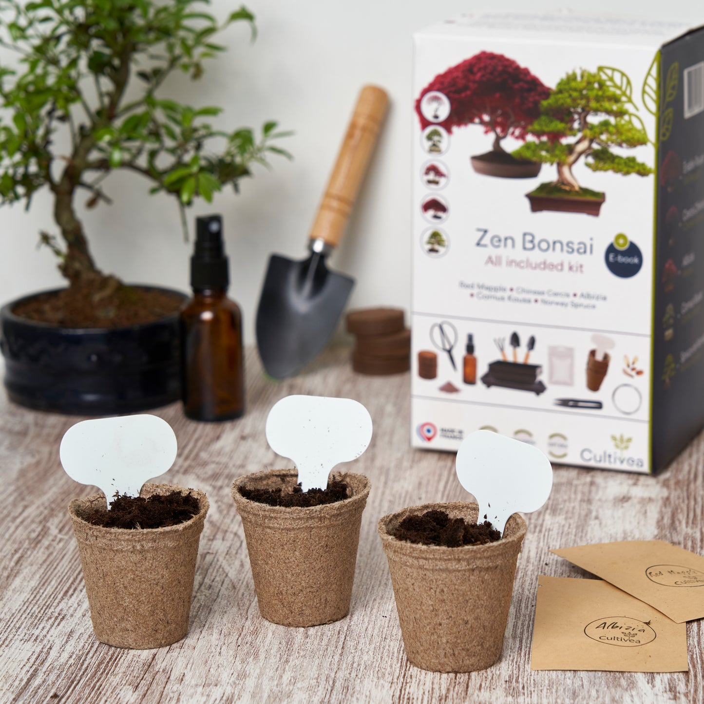 Kit Bonsaï Premium Prêt à Pousser