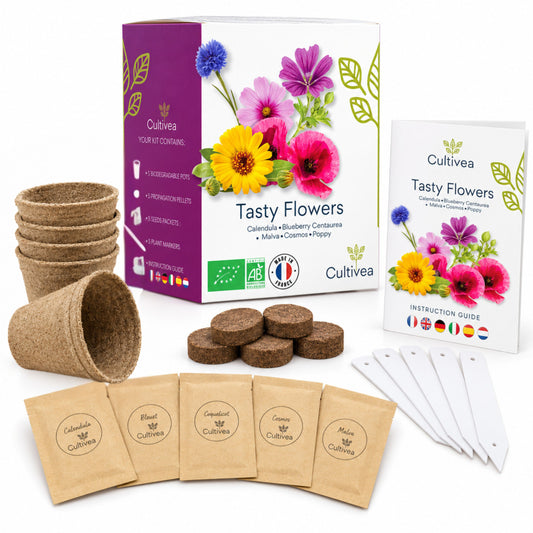 Mini Kit Fleurs Comestibles BIO*