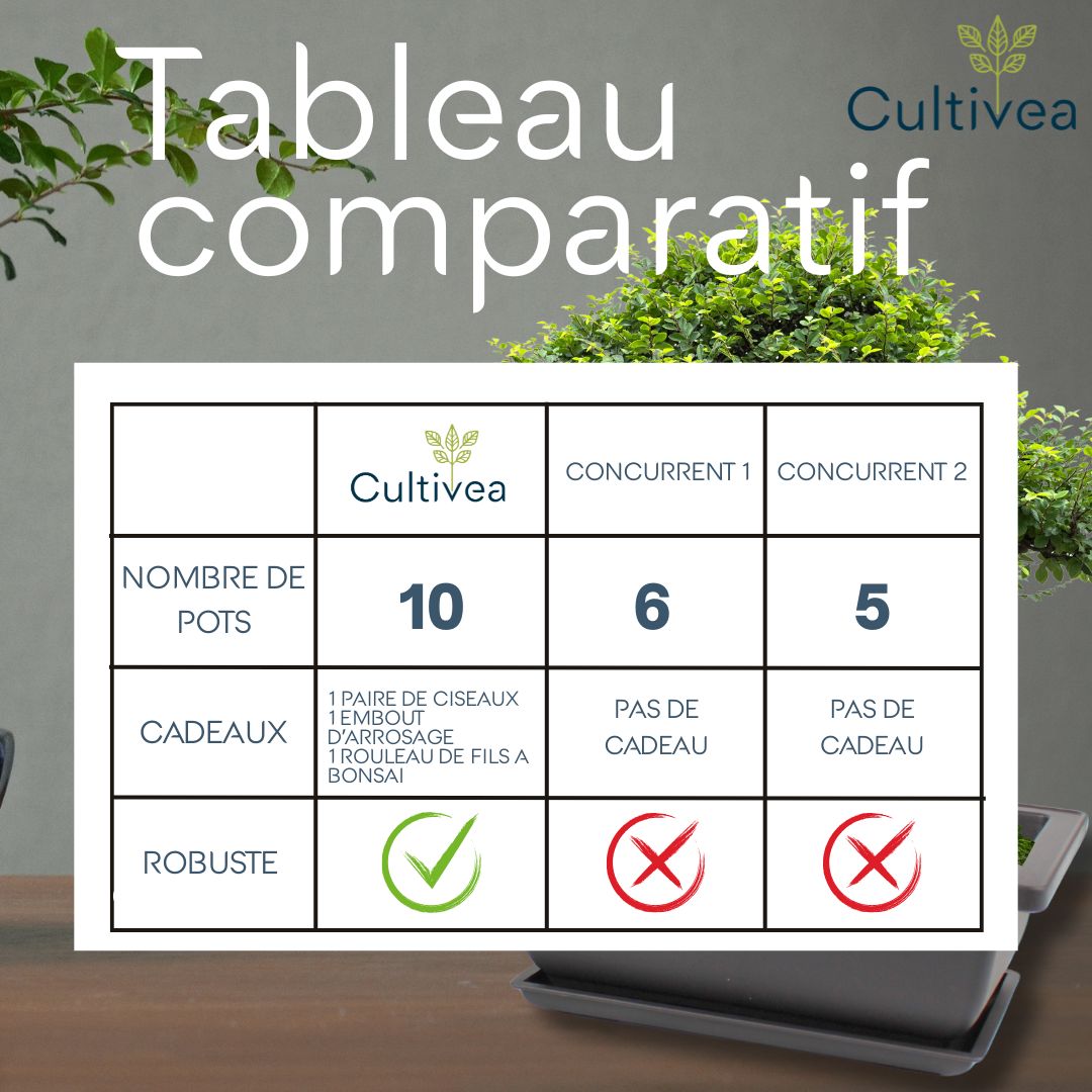 Lot de 10 pots bonsaï