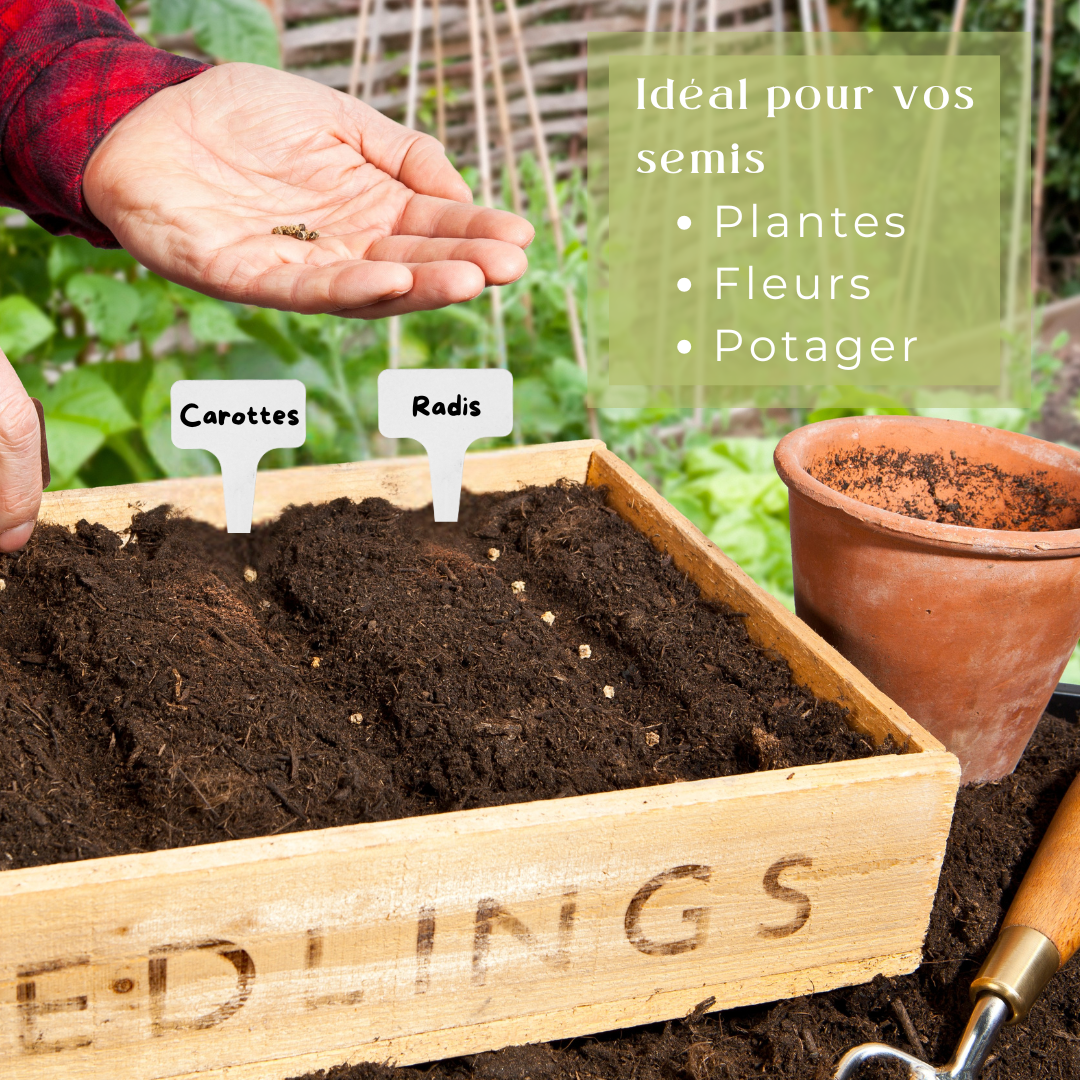 120 Étiquettes Jardin Blanches à Planter en Plastique + Marqueur | Forme T à Piquer