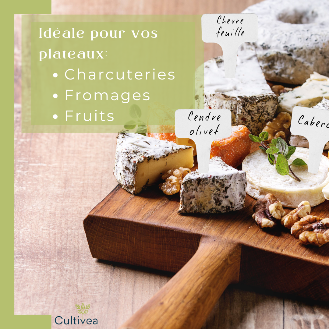 120 Étiquettes Jardin Blanches à Planter en Plastique + Marqueur | Forme T à Piquer