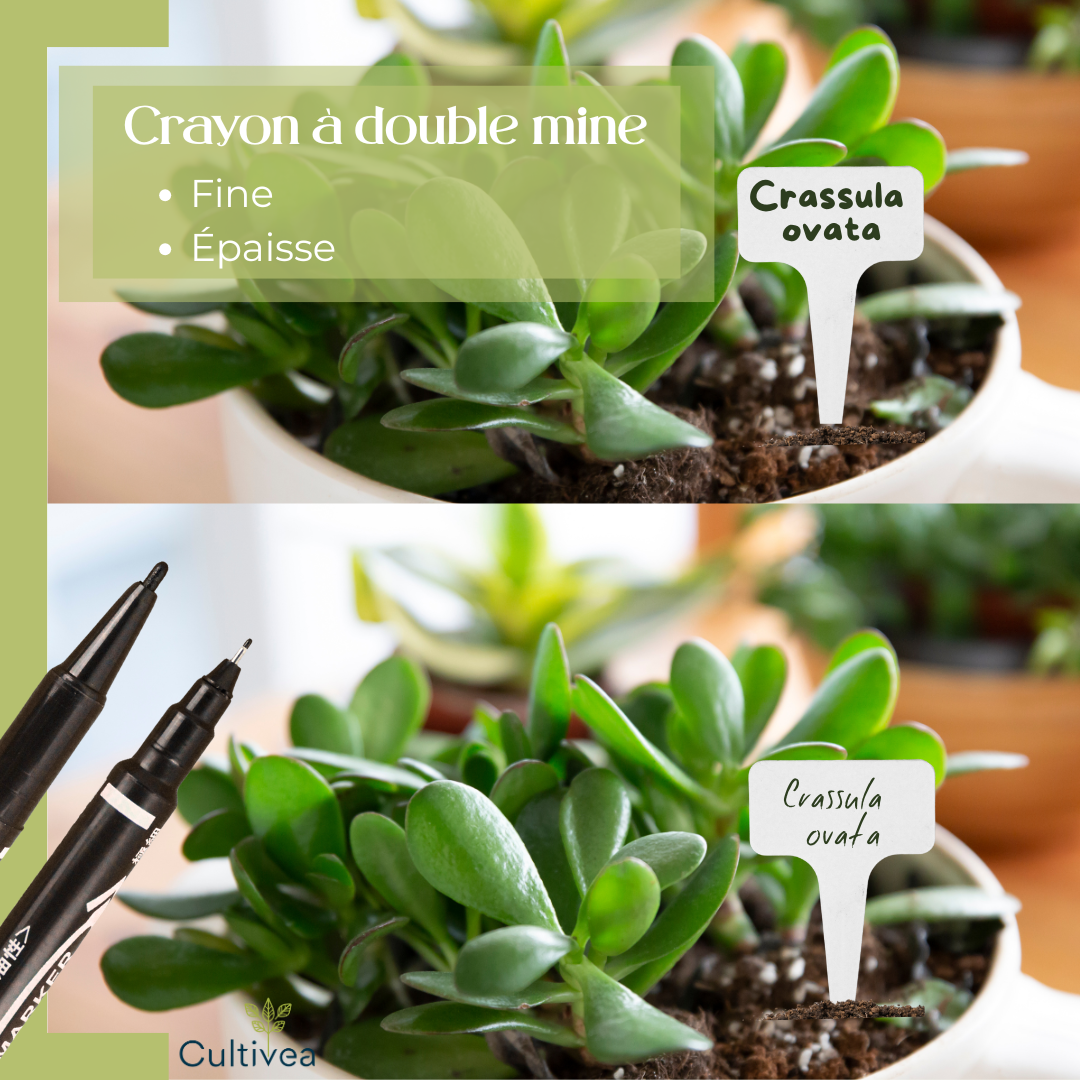 120 Étiquettes Jardin Blanches à Planter en Plastique + Marqueur | Forme T à Piquer