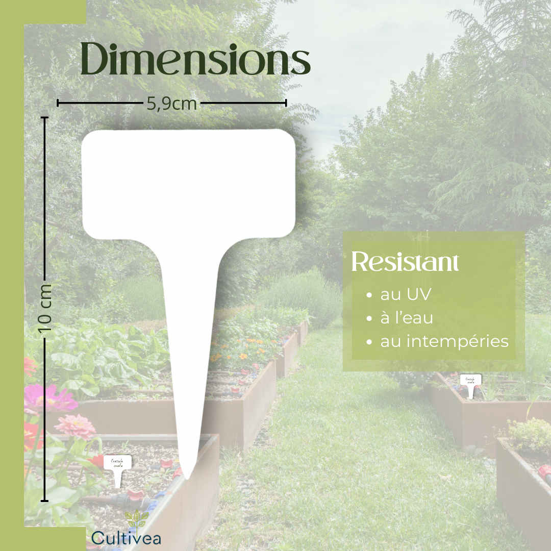 120 Étiquettes Jardin Blanches à Planter en Plastique + Marqueur | Forme T à Piquer