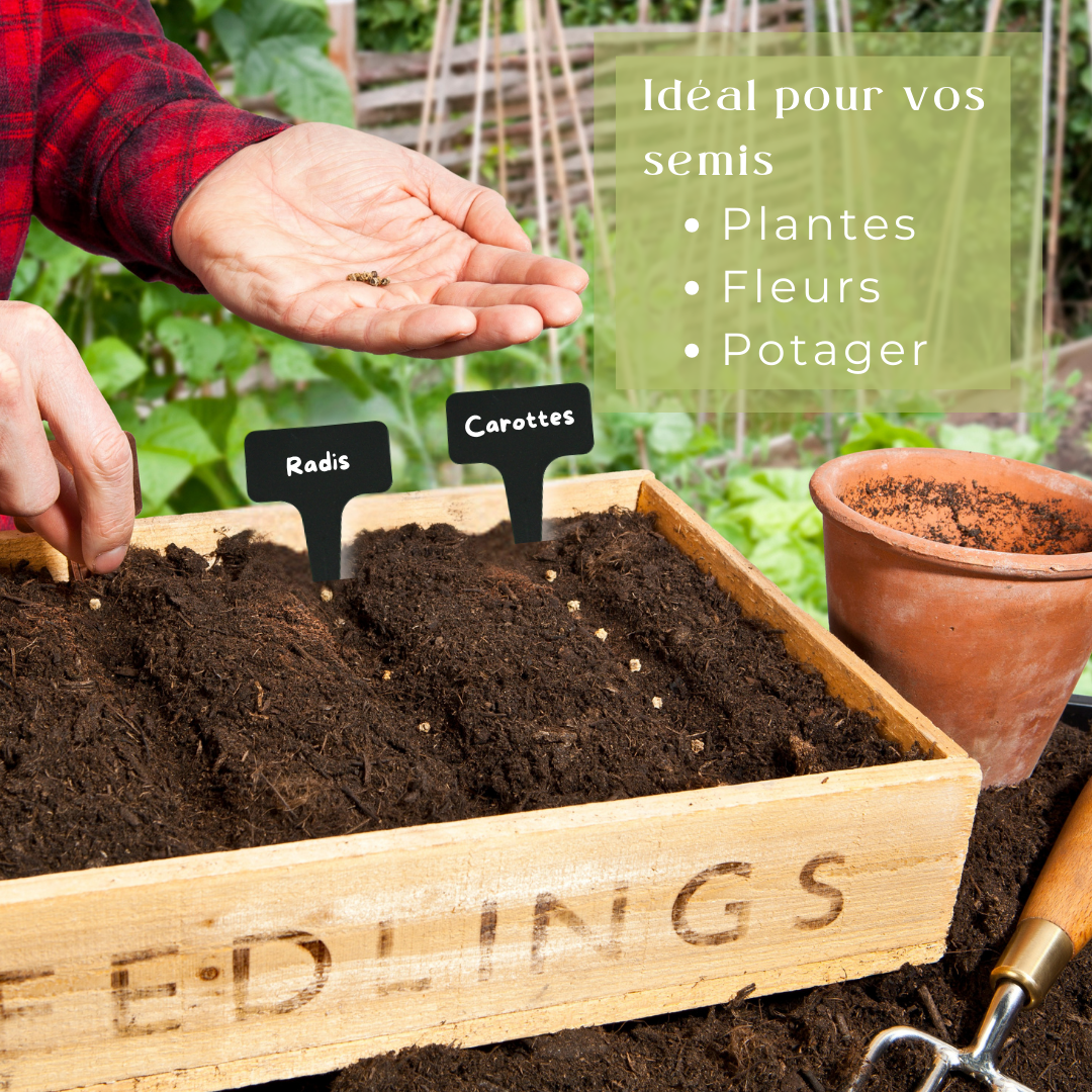120 Étiquettes Jardin à Planter en Plastique Noir + Marqueur | Forme T à Piquer