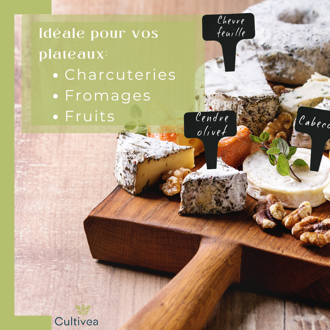 120 Étiquettes Jardin à Planter en Plastique Noir + Marqueur | Forme T à Piquer
