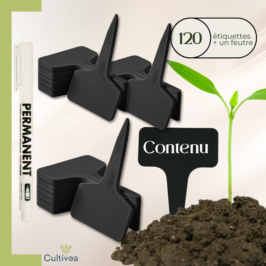120 Étiquettes Jardin à Planter en Plastique Noir + Marqueur | Forme T à Piquer