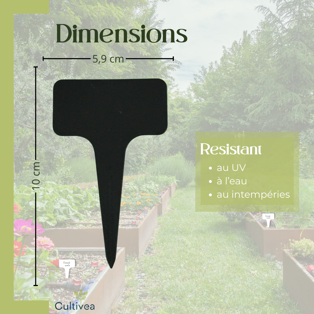 120 Étiquettes Jardin à Planter en Plastique Noir + Marqueur | Forme T à Piquer