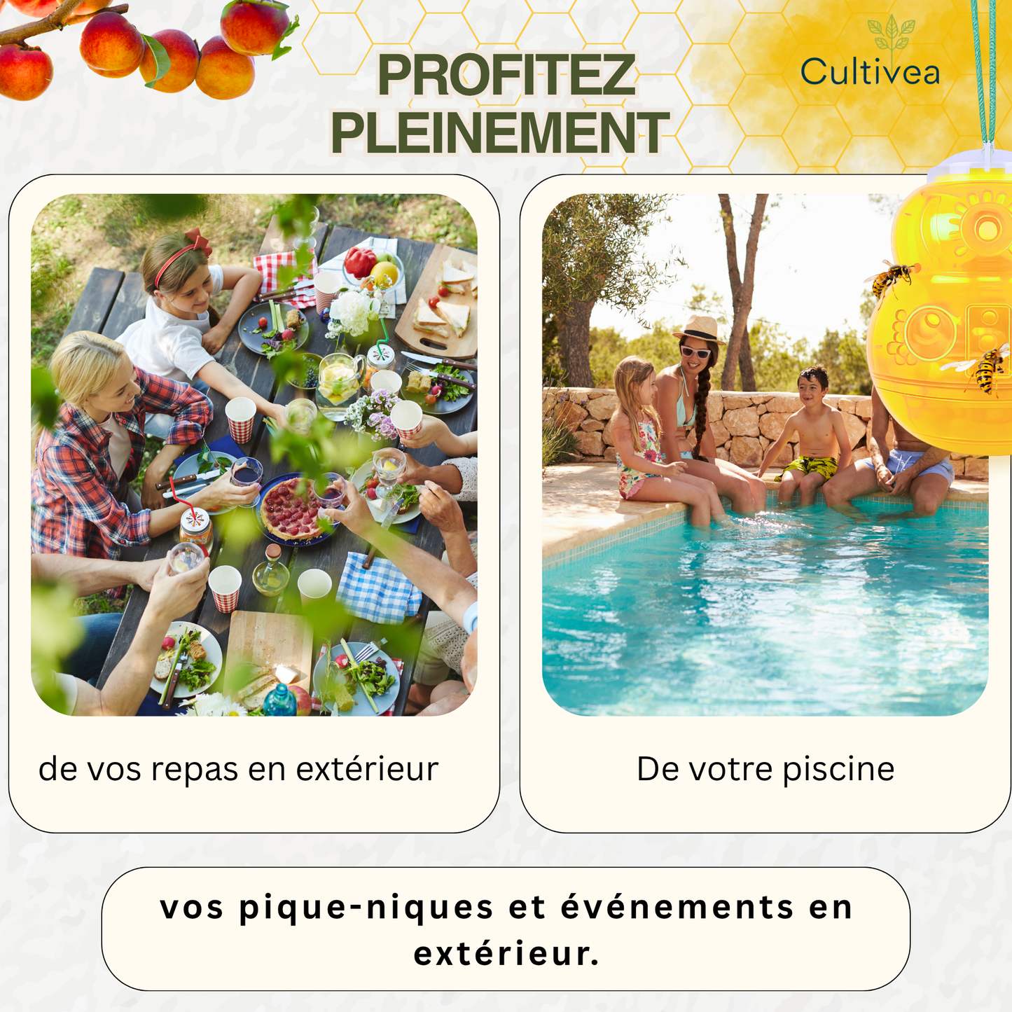 Piège à Guêpes et Frelons Extérieur Réutilisable