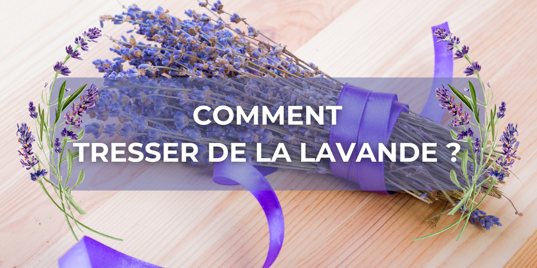 Comment tresser de la lavande ?