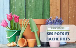 Bien choisir ses pots et cache-pots