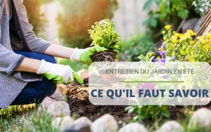 Entretien du jardin en été : ce qu’il faut savoir