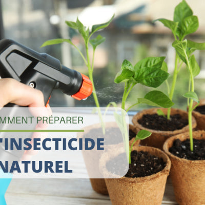 Comment préparer de l’insecticide naturel ?