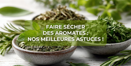 Faire sécher des aromates : nos meilleures astuces !
