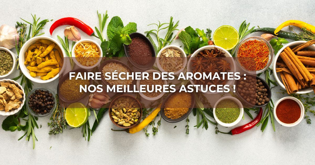 Faire sécher des aromates : nos meilleures astuces !