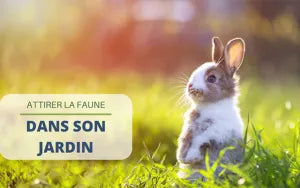 Comment attirer la faune dans son jardin ?