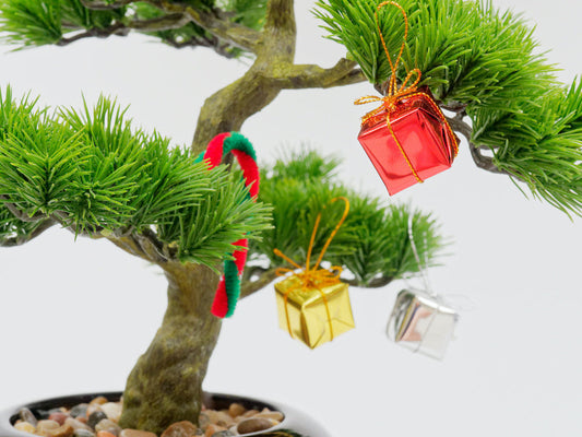 Quel bonsaï offrir en cadeau à Noël ?