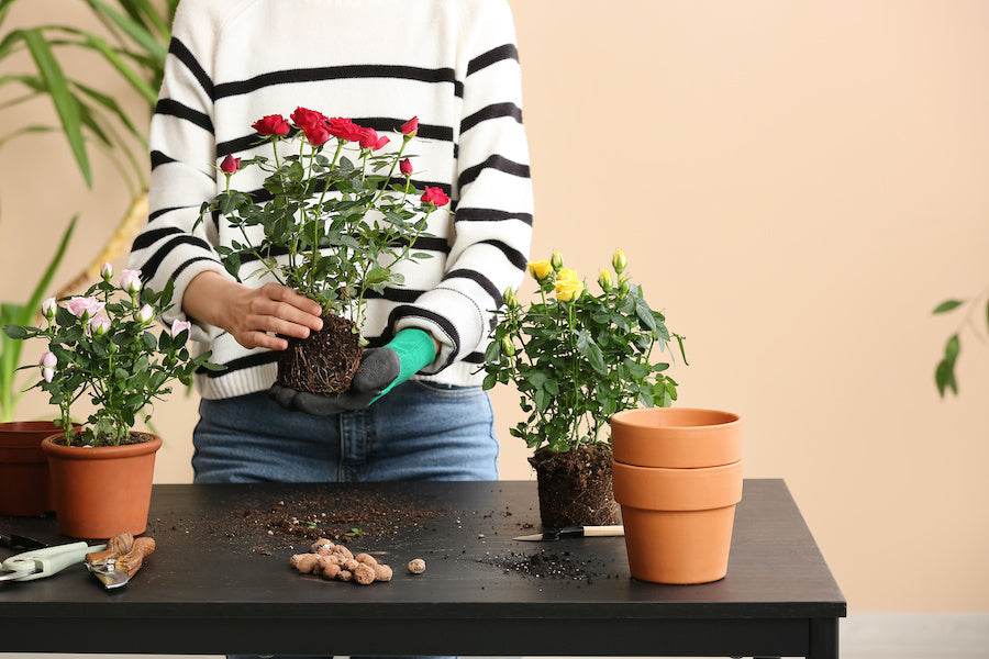 Quel cadeau offrir à un jardinier passionné ? Notre guide complet