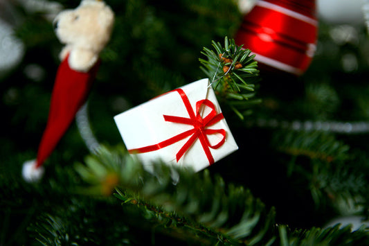 Bonsaï d'intérieur : le cadeau zen tendance pour Noël